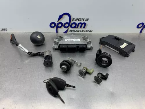 Computer Motormanagement-8150924 (21972794)