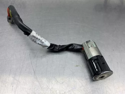 Computer Motormanagement-8150924 (21972794)