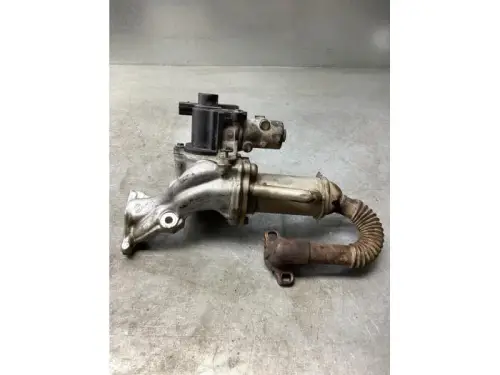 EGR Klep-
