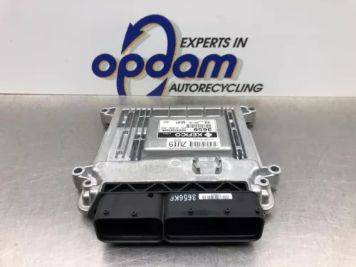 Computer Motormanagement-8160525 (20958064)