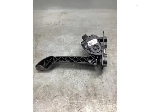 Gaspedaalpositie Sensor-8061863