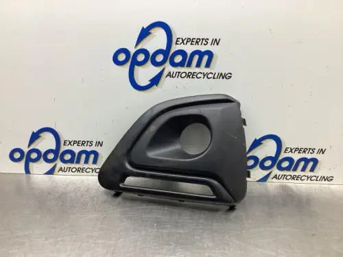 Afdekplaat mistlamp links-8031254