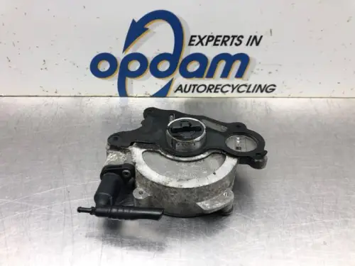 Vacuumpomp (Diesel)-8119079