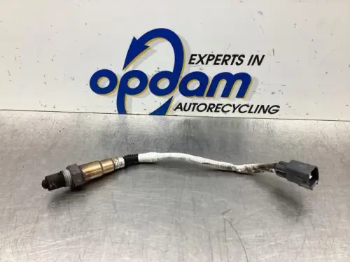 Lambda Sonde-8036622