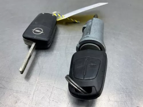 Computer Motormanagement-8299874 (22262873)