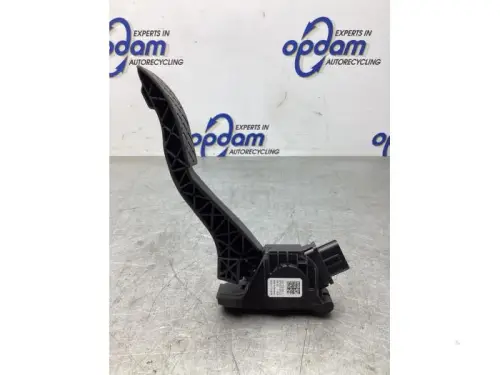 Gaspedaalpositie Sensor-7979992