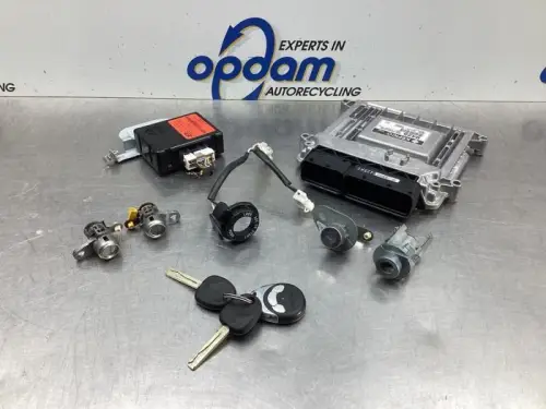 Computer Motormanagement-8033064