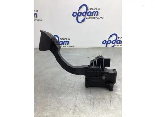 Gaspedaalpositie Sensor-8024852