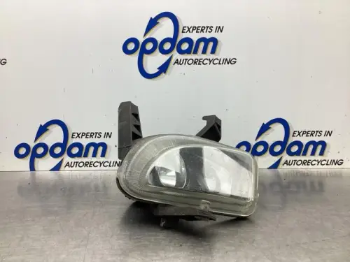 Mistlamp links-voor-7864481