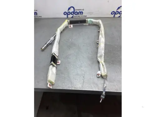 Airbag hemel links-8125529