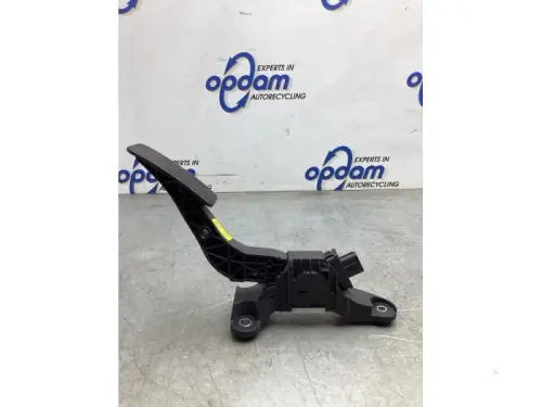 Gaspedaalpositie Sensor-8052644