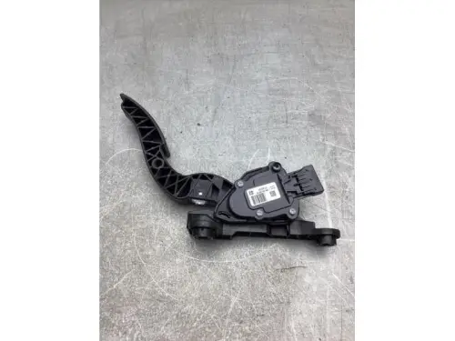 Gaspedaalpositie Sensor-8125529
