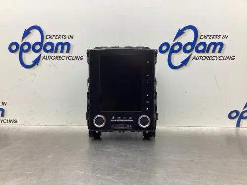 Display Multi Media regelunit-8044841