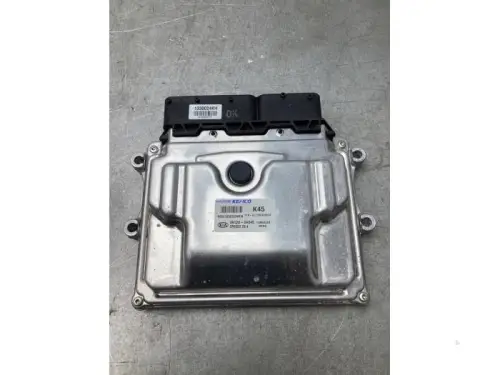 Computer Motormanagement-7617489