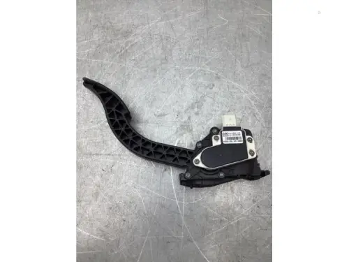Gaspedaalpositie Sensor-8050498