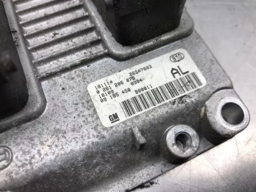 Computer Motormanagement-8252697 (21588862)