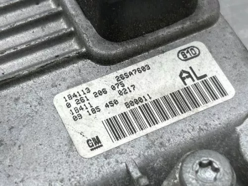 Computer Motormanagement-8310883 (22451032)