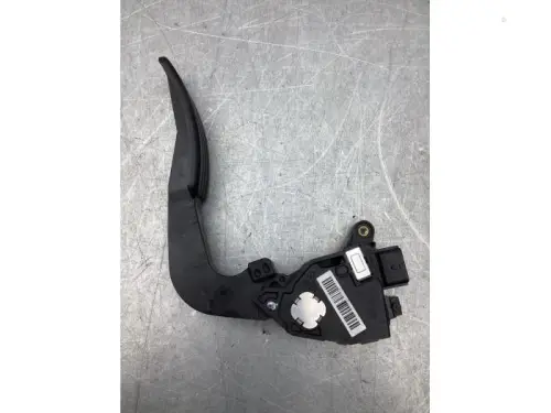 Gaspedaalpositie Sensor-8111101