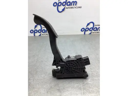 Gaspedaalpositie Sensor-8081217