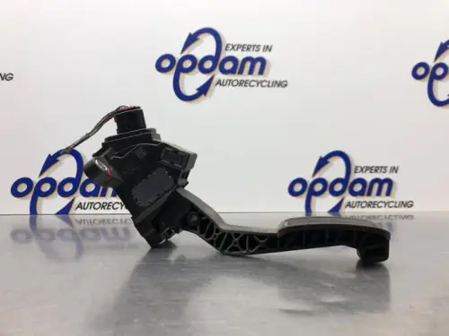 Gaspedaal-8115139
