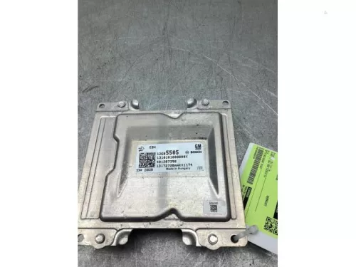 Computer Motormanagement-8227666 (22367427)