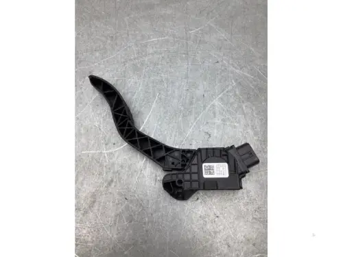 Gaspedaalpositie Sensor-7991183