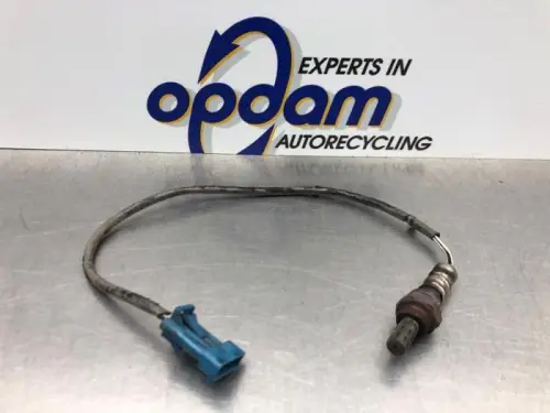Lambda Sonde-8168213