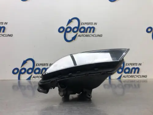 Mistlamp rechts-voor-8031487