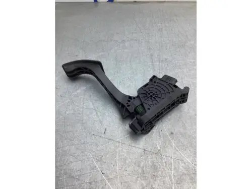 Gaspedaalpositie Sensor-8153606