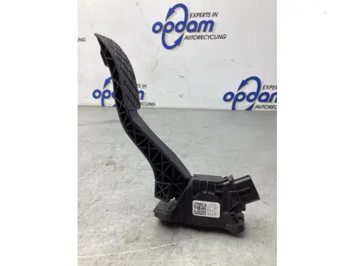 Gaspedaalpositie Sensor-8029563