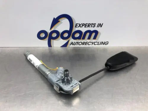 Gordelspanner links-8136407