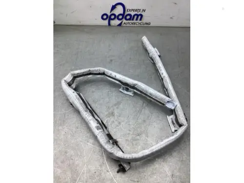 Airbag hemel rechts-8052671
