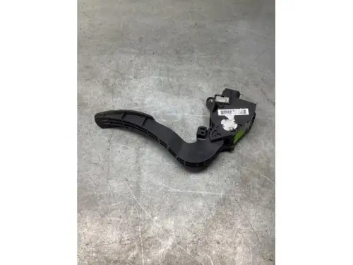 Gaspedaalpositie Sensor-8061327