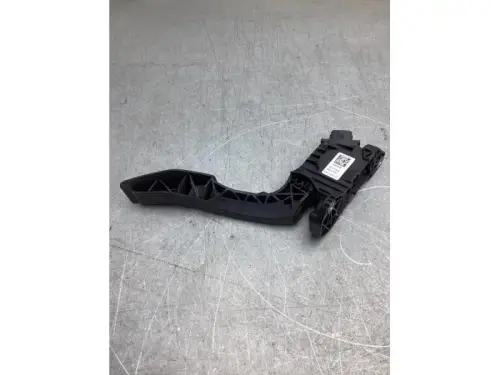 Gaspedaalpositie Sensor-8097267
