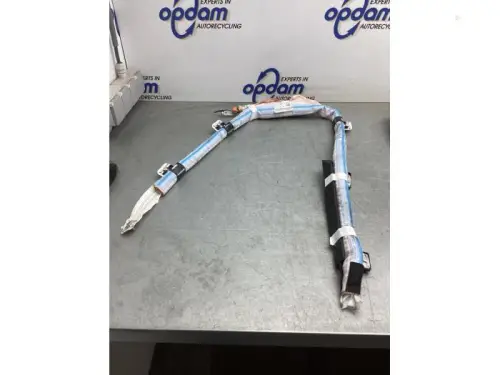 Airbag hemel rechts-8153606