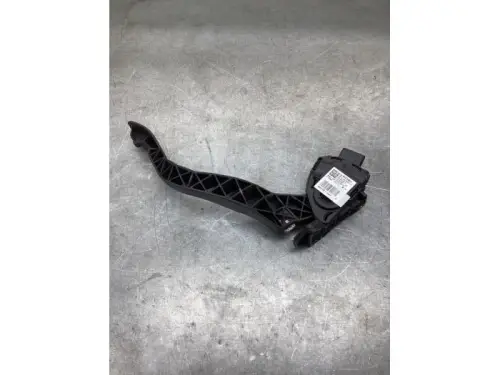 Gaspedaalpositie Sensor-8060473