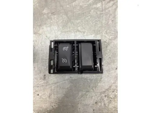 Cruise Control Bediening-8215672