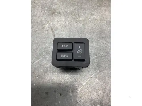 Cruise Control Bediening-8097267