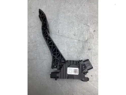 Gaspedaalpositie Sensor-8177089