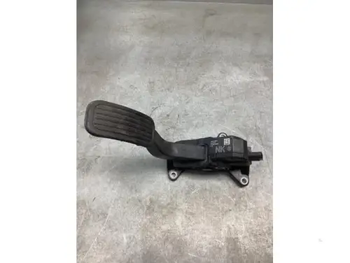Gaspedaalpositie Sensor-8175775