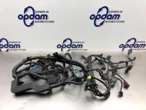 Kabelboom motorruimte-8079069