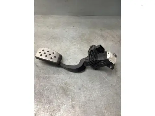 Gaspedaalpositie Sensor-8180176