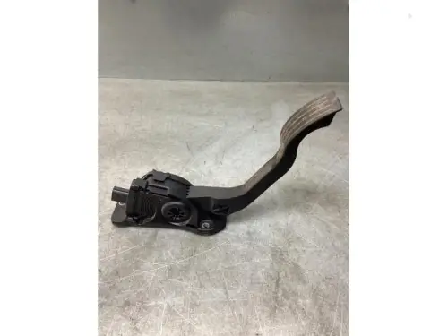 Gaspedaalpositie Sensor-8146356