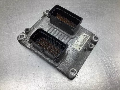 Computer Motormanagement-8061794 (19249104)