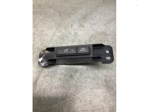 Cruise Control Bediening-8195268