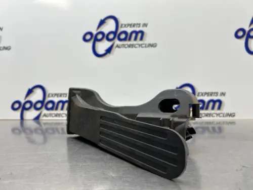 Gaspedaal-8298153