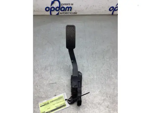 Gaspedaalpositie Sensor-8295328