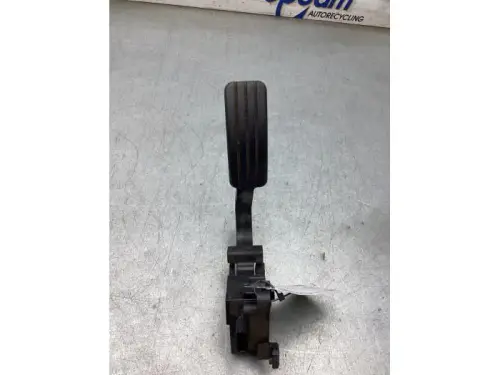 Gaspedaalpositie Sensor-8253599