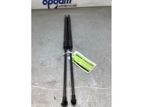 Gaspedaalpositie Sensor-8126482