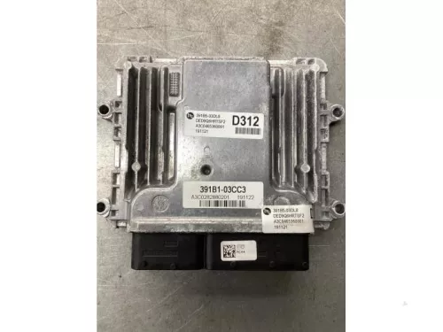 Computer Motormanagement-8044524 (20433643)